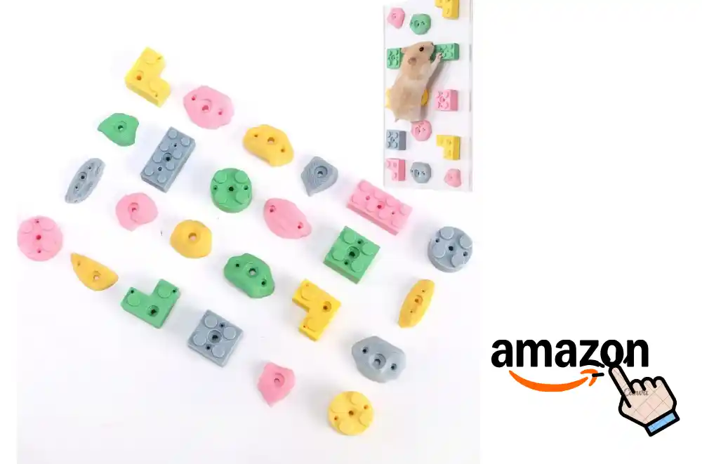 DIY Toys For Guinea Pigs
