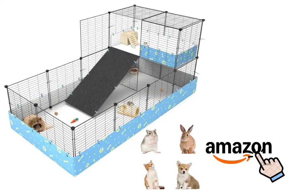 Guinea Pigs Cages