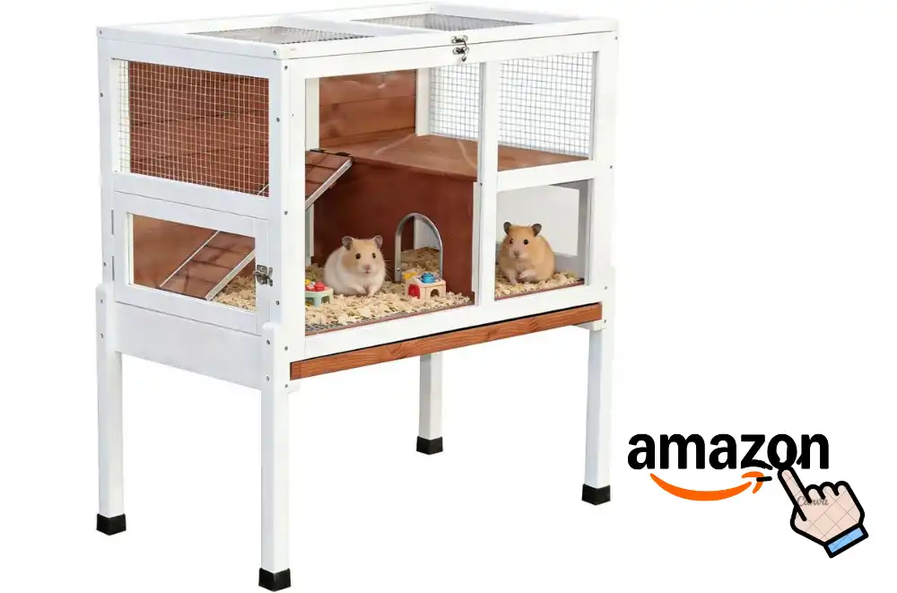 Guinea Pigs Cages