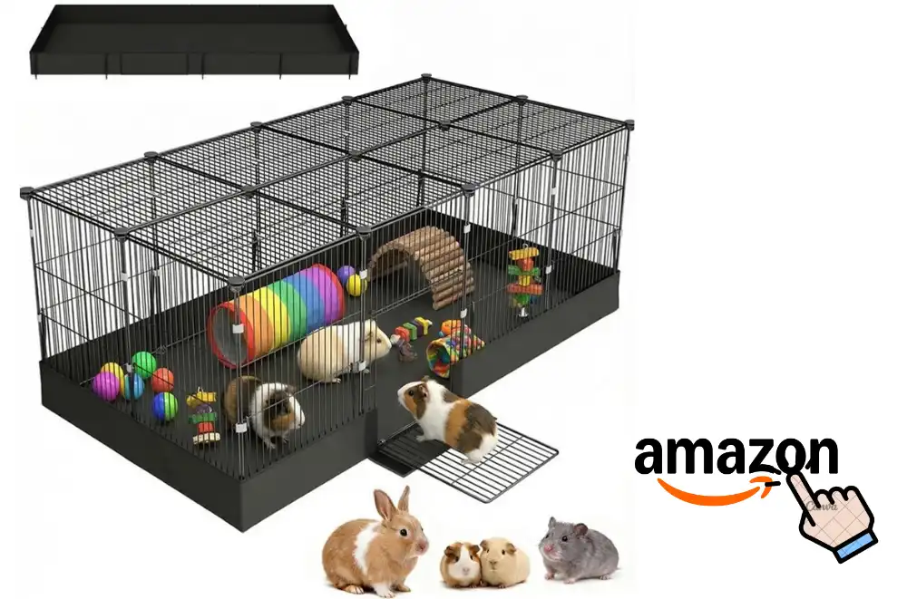 Guinea Pigs Cages