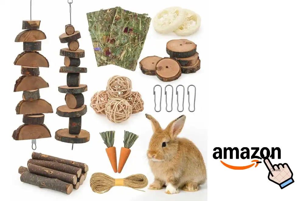 DIY Toys For Guinea Pigs