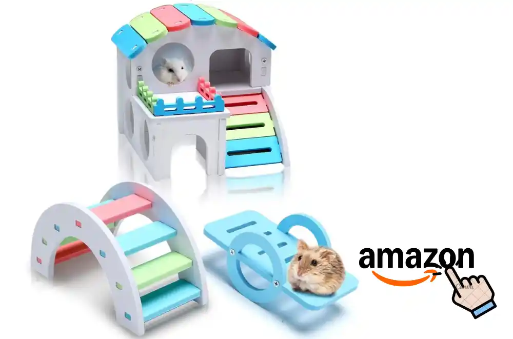 DIY Toys For Guinea Pigs