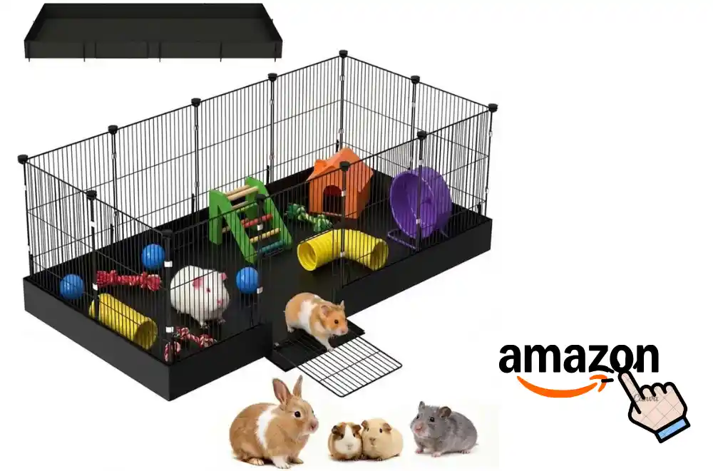 Guinea Pigs Cages