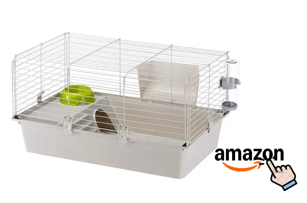 Guinea Pigs Cages