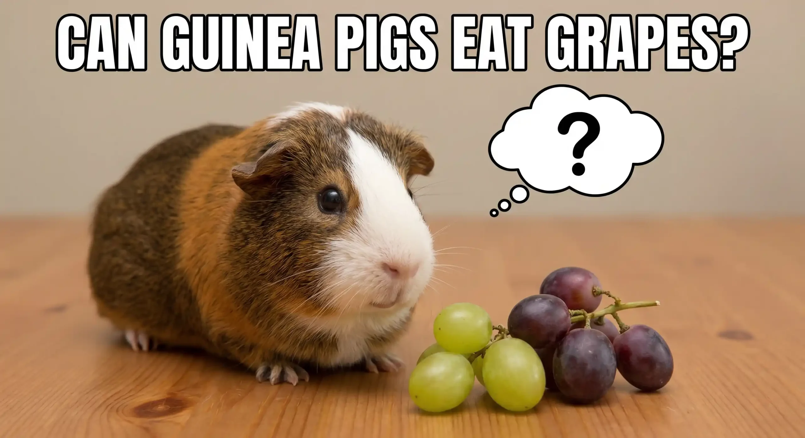 Can Guinea Pigs Eat Grapes?