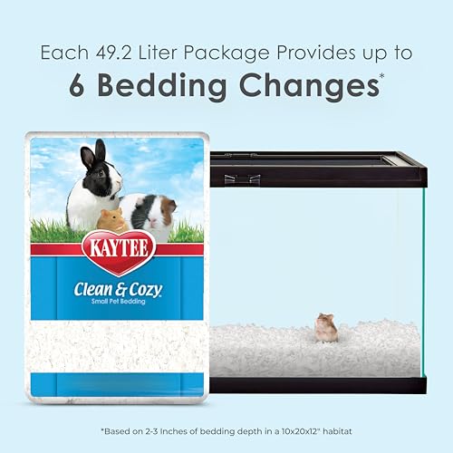 Best Bedding For Guinea Pigs