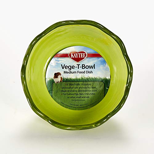 Best Food Bowls For Guinea Pigs
