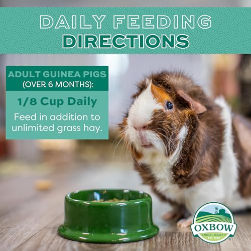 Best Guinea Pig Food Pellets