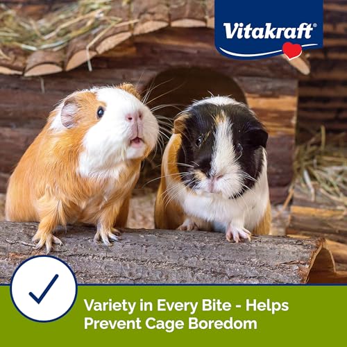 Best Dry Food For Guinea Pigs
