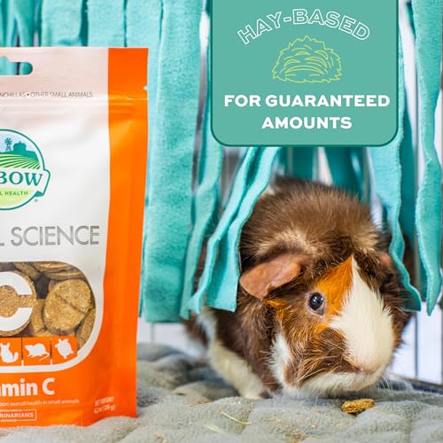 Best Vitamin C Foods For Guinea Pigs