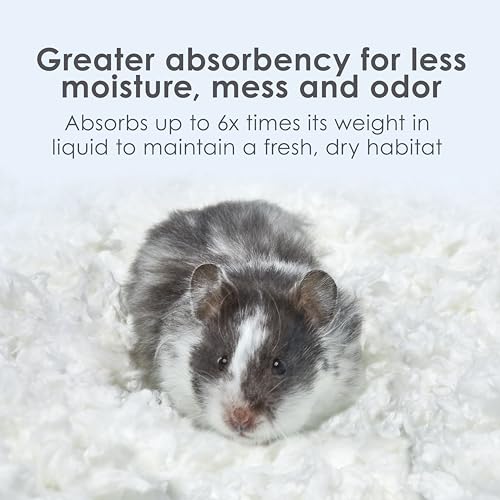 Best Paper Bedding For Guinea Pigs