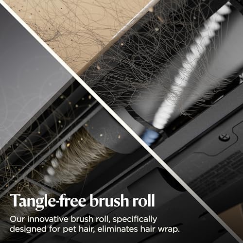 Best Pet Hair Upright Vacuum