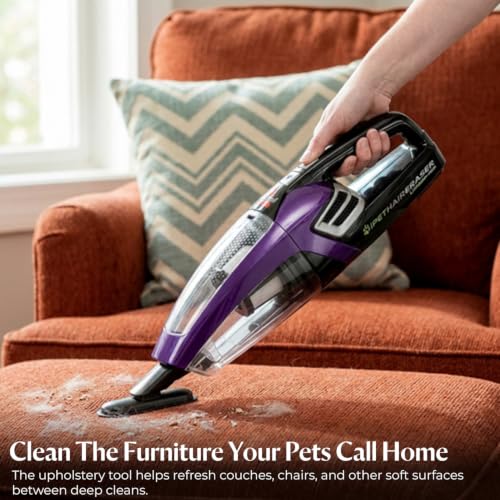 Best Vacuum For Pet Hair In Car